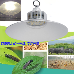 led黑水虻补光灯养殖户多次试验仿太阳光虫卵生长灯100w昆虫成长