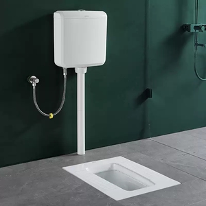 金牌卫浴蹲便器家用卫生间蹲坑式陶瓷自洁釉大便池9215冲水箱a113