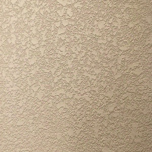 大津硅藻泥 弹涂 平湖