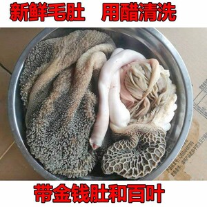 包邮新鲜干冻净羊肚羊黄金肚3斤带金钱肚和百叶无注水冷冻生羊肚