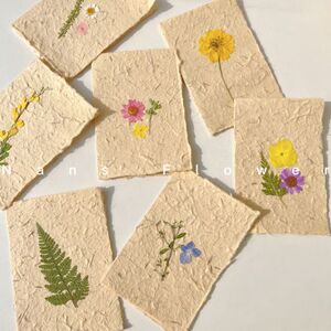 nans原创/自制手工押花压花干花植物标本贺卡明信片 手工纸卡片