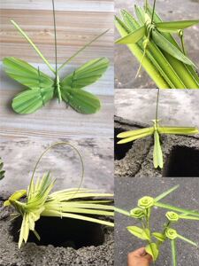 棕编草编视频教程学生学校教学培训手工自学蚂蚱蜻蜓花朵凤凰蝴蝶