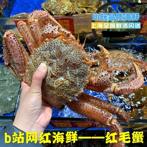 北海道红毛蟹一斤 鲜活螃蟹野生进口海鲜毛蟹现货帝王蟹闪送顺丰