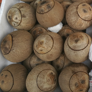 丝绒女装成交量: 37发货地: 广东 广州店铺: 汤料椰子椰盅水果批发