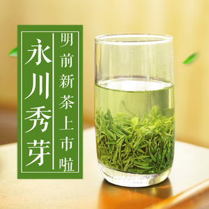 永川秀芽 茶叶2024明前重庆特产绿茶新茶毛尖茶春茶特级毛峰250g