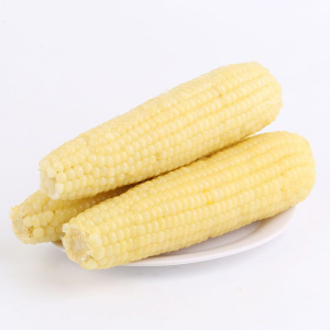 山东白珍珠糯玉米10支真空包装新鲜即食玉米棒软糯微甜现货包邮