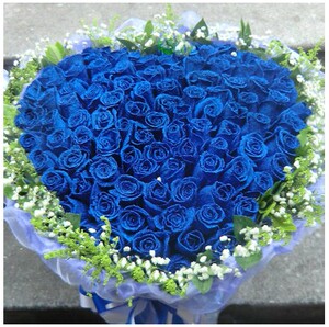 蓝玫瑰鲜花99朵蓝色妖姬心形花束鲜花速递丽水缙云新碧镇花店送