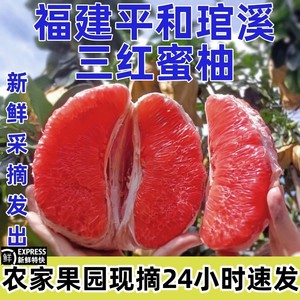 福建三红柚子10斤蜜柚新鲜水果当季孕妇红心整箱包邮三红肉叶琯溪