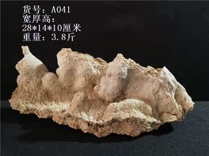 盆景石笋