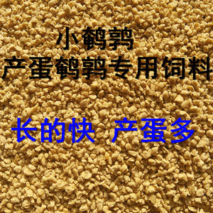 小鹌鹑产蛋下蛋鹌鹑饲料芦丁鸡高蛋白专用开口细颗粒全价料包邮