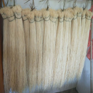 江西灯芯草野生包邮5斤灯心草枕头供香礼佛中药材80-100cm手工制