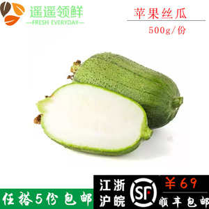 新鲜苹果丝瓜迷你小丝瓜肉丝瓜约500克/个新品台湾丝瓜酒店精品