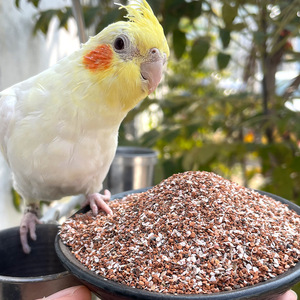 山东炫料保健砂 鸟用 鹦鹉 补钙红土高钙 文鸟玄凤金青虎皮鹦鹉