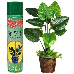 花卉光亮剂绿萝植物清洁叶面光泽喷雾剂亮叶天然亮光喷剂园艺用品
