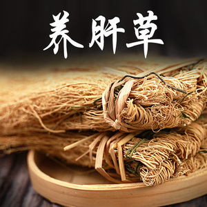 粤北养肝草煲汤1份10扎金草新鲜丝线根清凉养生广东煲汤料包草