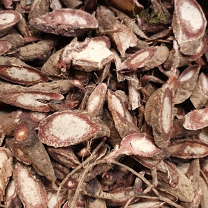 野生自采血风根老人根天然中药材铁牛入石 无硫 纯根干品 2斤包邮