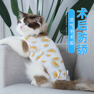 猫咪手术服夏季母猫绝育衣服断奶服防掉毛公猫防舔透气薄款术后服