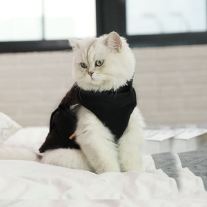 猫咪衣服英短美短折耳棉马甲幼猫成猫秋冬装宠物保暖加厚小猫衣服
