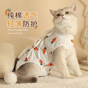 猫咪绝育服母猫手术后衣服宠物猫猫术后防舔公猫小猫的伊丽莎白圈