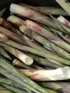 安徽池州野生小竹笋小细笋新鲜笋子水笋木笋现拔现发四斤半装包邮