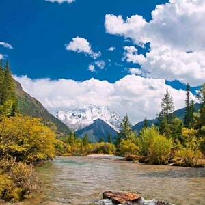 阿里山壁纸-淘宝拼多多热销阿里山壁纸货源拿货 - 阿里巴巴货源