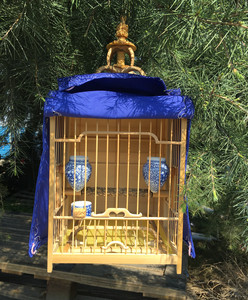 画眉鸟笼 (全套配置的上海板笼) 方笼1号笼  木屑 爬宠  蓝海笼