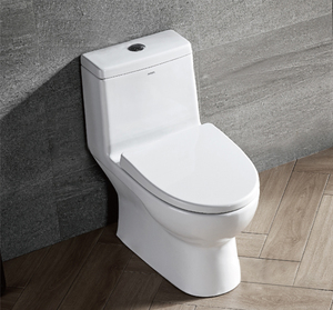 箭牌卫浴抽水马桶家用户型卫生间虹吸式座坐便器 ag1078 ad1008