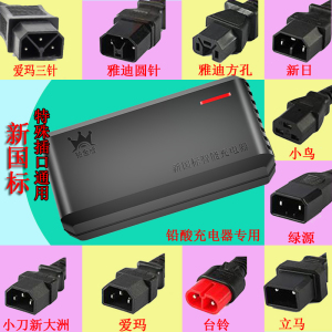 新国标电动车铅酸电瓶电池充电器48V60V72V适用于爱玛老款