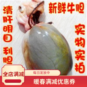 新鲜牛苦胆