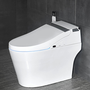 德莱尼即热家用坐便器全自动感应翻盖遥控翻圈座便一体式智能马桶