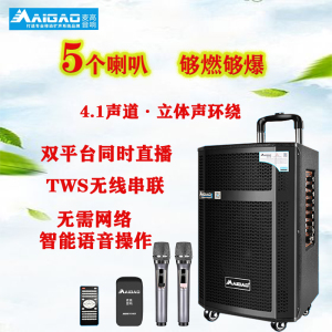 麦高s666-63/65户外大功率广场舞电瓶音响拉杆式乐器弹唱蓝牙音箱