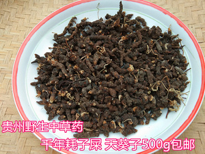 贵州野生天葵子 中草药材紫背天葵根千年老鼠屎金耗子屎 500g包邮