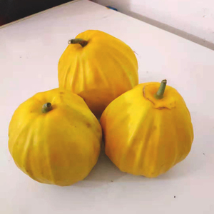 丑八怪香瓜湖北小香瓜黄金八里香新鲜10斤蜜瓜甜瓜八棱瓜黄色脆宝