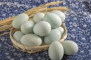 湖南绿壳鸡蛋90枚新鲜初生乌鸡蛋正宗农家散养土鸡蛋柴鸡蛋笨草