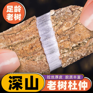 杜仲中药材正品500g杜肿树皮巴戟天男士泡酒料药材非新鲜特级野生