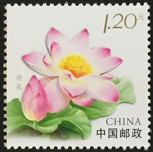 念椿萱 个性化邮票个23 2011年 花卉 10- 6 荷花 全新 无附票