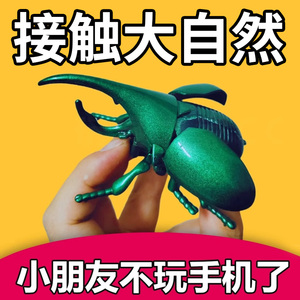创意上链条甲虫儿童仿真甲壳虫男孩宝宝发条爬行昆虫玩具会跑模型