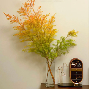 黄金香柳千层金水培植物鲜切枝插花水养绿植顺丰室内桌面客厅装饰