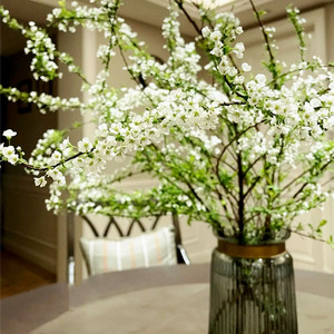 雪柳干枝水养鲜切枝水培植物遇水开花枯木逢春枝条鲜花卉室内易活