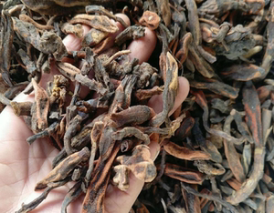 鹿仙草云南500克鹿仙草粉泡酒 不上莲 通天蜡烛石上莲 可磨粉