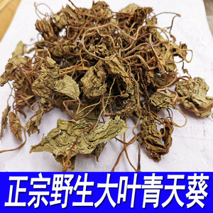 青天葵图片 功效图片