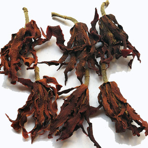 肾兰花茶500g克一斤包邮 干玉兰花茶 白玉兰花干花新货花草茶泡水
