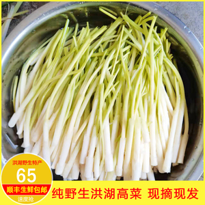 洪湖特产新鲜蒿菜蒲菜儿时蔬菜野菜茭白水生炒菜产地直销顺丰包邮
