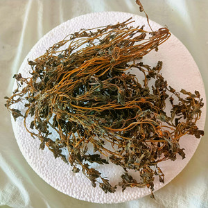 山东野生马齿苋菜干长寿菜干货包邮农家自制500克