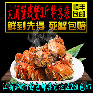 大闸蟹鲜活固城湖