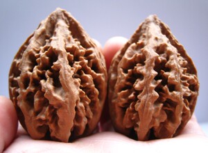 包邮清仓文玩核桃精品楸子东北野生大秋子水龙纹楸子 aaa7b