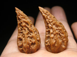 文玩核桃东北野生楸子精品异形秋子小辣椒异型单边一道筋辣椒386