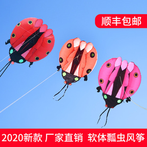 潍坊新款马老四软体风筝瓢虫伞布风筝大人专用软体大风筝
