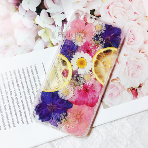 真水果手机壳 手工定制 真花压花手机壳 华为 oppo vivo 苹果x/8