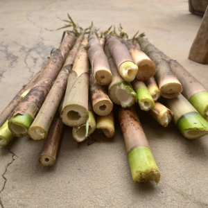 千岛湖农家新鲜现拔带壳野笋花壳笋红壳黑壳野生小笋菜竹笋水竹笋